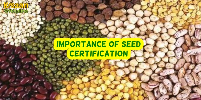 IMPORTANCE OF SEED CERTIFICATION